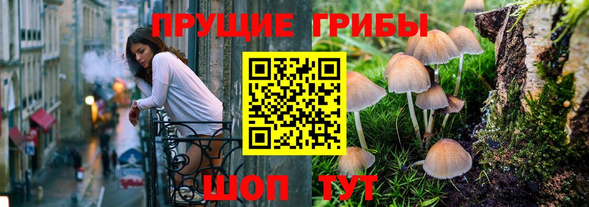 Асино  Псилоцибиновые грибы прущие грибы  Вход с VPN 